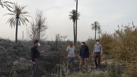 خسارت ۱۶۰ میلیون تومانی آتش سوزی به باغداران مینابی