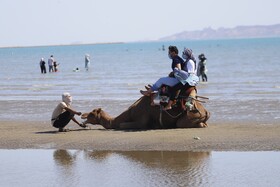 ساحل بندرعباس در شرایط کرونایی