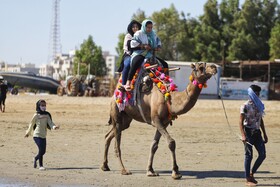 ساحل بندرعباس در شرایط کرونایی