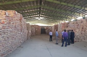 تخلیه محموله ۳۱ هزار و ۵۰۰ تنی برنج در بندر شهیدرجایی