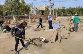 نخستین باغ الگویی میوه های گرمسیری کشور در قشم احداث شد