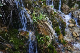 ایران زیباست؛ آبشار مارگون
