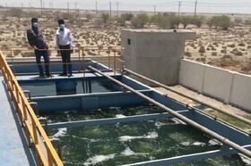 طرح فاضلاب تیاب در مدار بهره برداری است/ امکان واگذاری انشعابات فاضلاب به صورت اقساط فراهم است