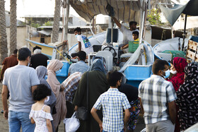 تجمع مردم برای خرید میگو تازه در ساحل سورو بندرعباس