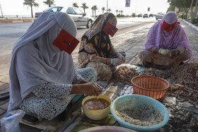 زنان در محله خواجه عطا بندرعباس در کنار خیابان مشغول پاک کردن میگو های صید شده از دریا هستند.