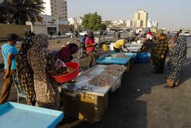 محله پشت شهر  به دلیل نزدیکی به اسکله صیادی بندرعباس یکی از مراکز فروش آبزیان از جمله ماهی و میگو است.
