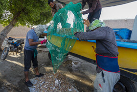 صیادان در محله خواجه عطا در حال تخله تور مخصوص صید میگو از قایق صیادی هستند.