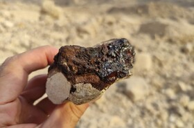 کشف آثار قیر طبیعی درون برخی از قطعات کنگلومرا در اطراف گسل سرزه