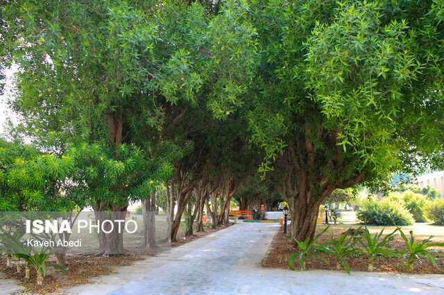 تصویب آئین‌نامه مدیریت فرهنگی بوستان‌های شیراز