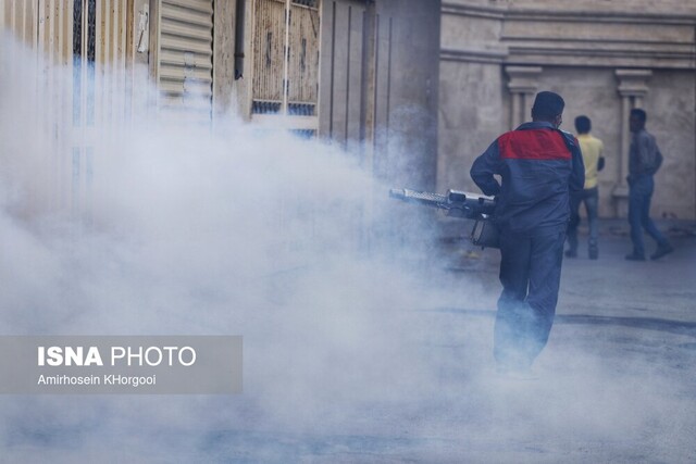 پیشگیری از گزش پشه آئدس، کلید حفاظت از سلامت عمومی