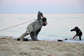 چهارمین دوره جشنواره ملی تئاتر کوتاه کیش