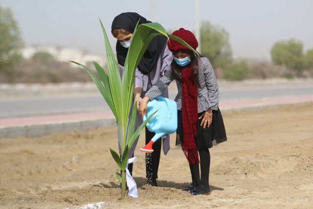 درختان پلاک گذاری شده به نام مادران شاغل در بندرعباس کاشته شد