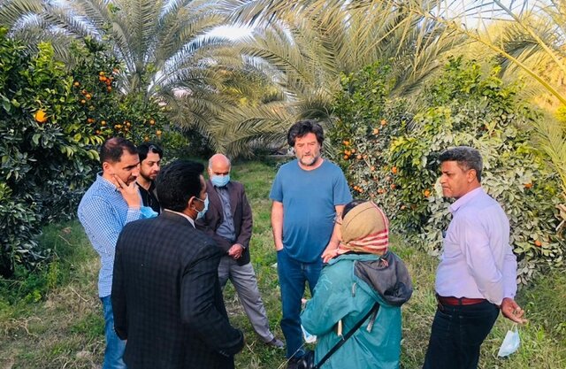 انتخاب خرمای پیارم حاجی آباد بعنوان پایلوت بکارگیری دانش فنی سوئیسیها انتخاب خرمای پیارم حاجی آباد بعنوان پایلوت بکارگیری دانش فنی سوئیسیها