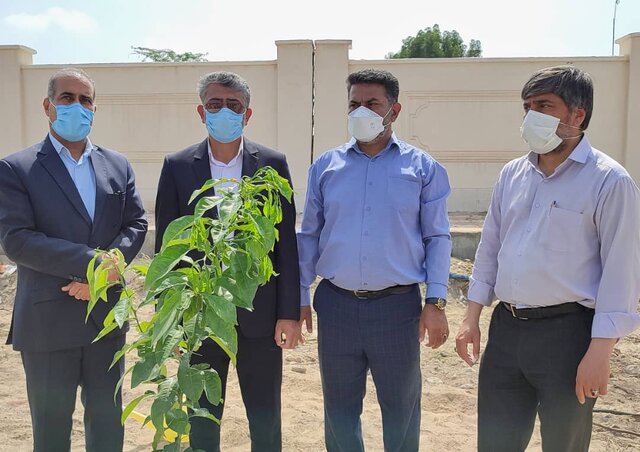 عکس تزیینی است پویش درختکاری با هدف ترویج فرهنگ درختکاری و گسترش و حفظ فضای سبز انجام شد