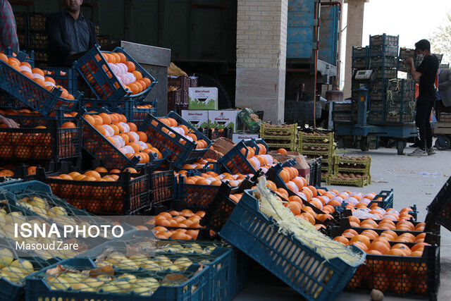 عکس تزئینی است. رسیدگی به ۱۰۵۹ پرونده میوه فروش متخلف در فارس