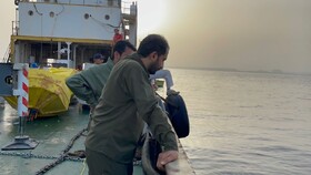 راه اندازی اولین قفس پرورش ماهی برای استقرار در دریاهای مواج قشم