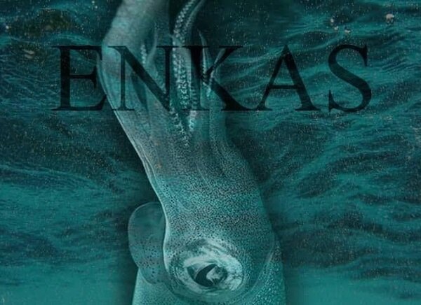 فیلم کوتاه انکاس از فستیوال (one earth world ) هند جایزه گرفت