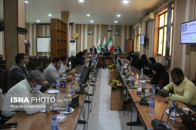 خطر انقراض ۳۷ گونه جانوری در هرمزگان/ صنایع آلاینده به سازمان امور مالیاتی معرفی شدهاند