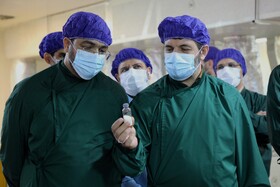 سفر دبیر شورای عالی مناطق آزاد به جزیره کیش