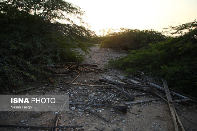 عکس تزئینی است حفظ محیطزیست و زمین مسئولیتی عمومی است