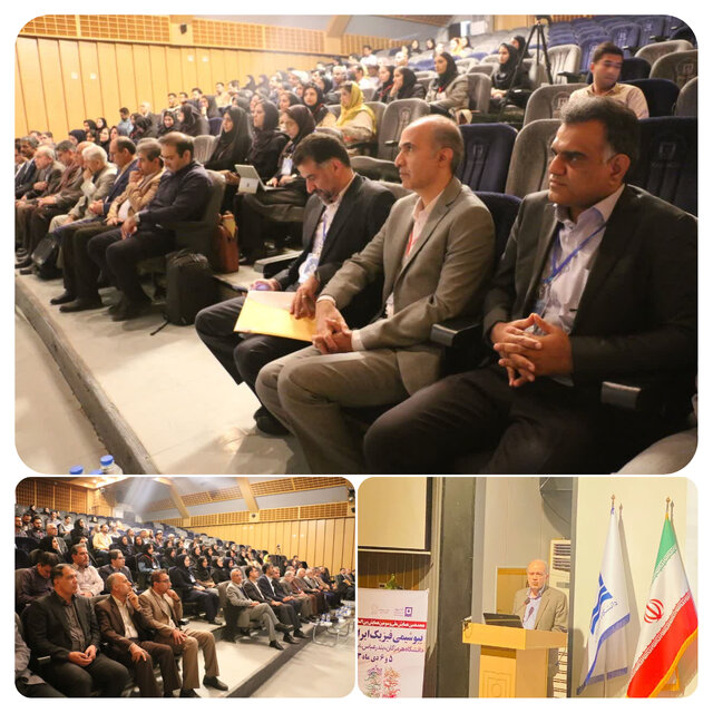 ارسال ۲۳۰ مقاله به دبیرخانه همایش بیوشیمی فیزیک ایران در دانشگاه هرمزگان ارسال ۲۳۰ مقاله به دبیرخانه همایش بیوشیمی فیزیک ایران در دانشگاه هرمزگان