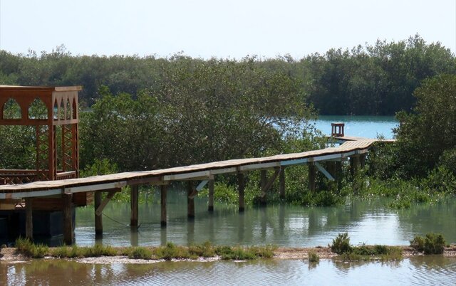 تالاب خورخوران و جنگلهای حرا؛ نگین زیستکره زمین در بندرخمیر