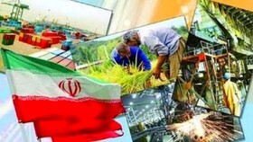 تحقق بیش از ۱۰۰ درصدی اشتغال در جهاد کشاورزی سیستان و بلوچستان