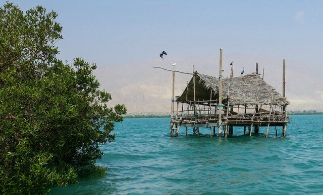 کاهش نسبی سرعت باد و تلاطم دریا در هرمزگان