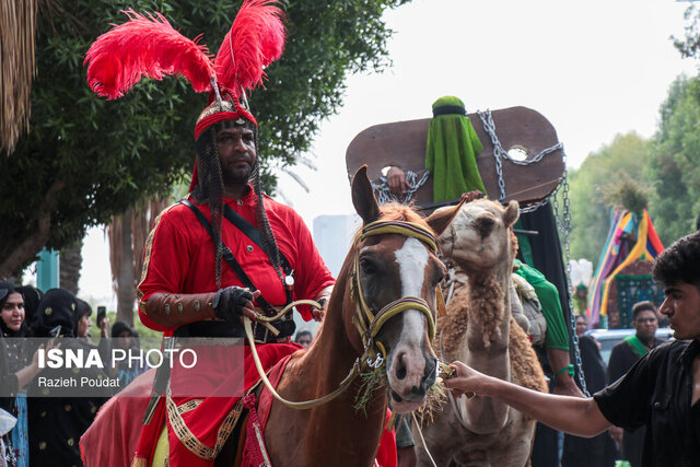 عزاداران بندرعباس؛ جلوهای بینظیر از وحدت و ایمان در عاشورا