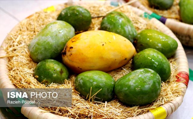 آغاز جشنواره شکرگزاری انبه و یاسمین در میناب