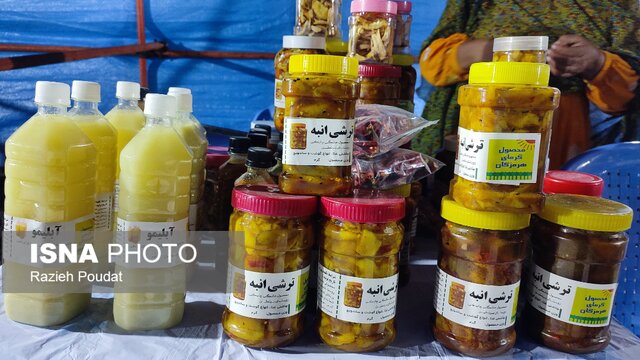 از باغ تا بازار؛ رودان میزبان جشن ملی لیموترش و خرما