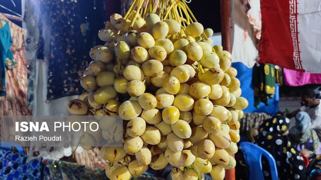 از باغ تا بازار؛ رودان میزبان جشن ملی لیموترش و خرما