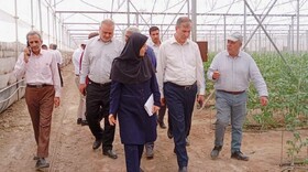 توسعه باغات الگویی از اولویت‌های وزارت جهادکشاورزی است