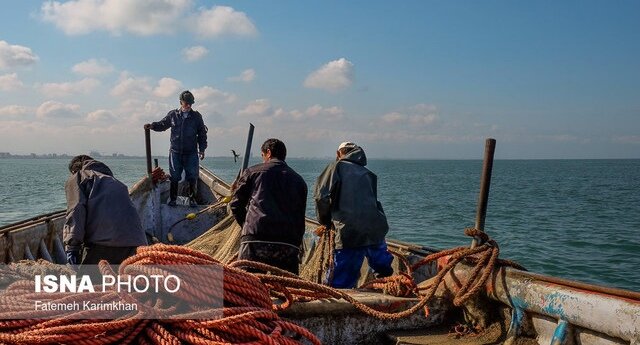 عکس تزئینی توقیف شناورهای صید غیرمجاز ترال در جاسک