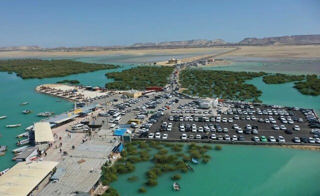 جهانی شدن سهیلی، ثمره همدلی و باور مردم به رشد است 