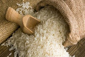 ثبت سفارش واردات ۱۵۰ هزار تن برنج پاکستانی برای تنظیم بازار هرمزگان