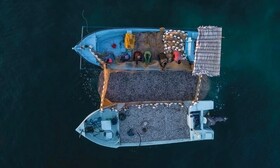 صید شب‌چراغی از مخرب‌ترین روش‌های صید در آب‌های جنوب کشور ‌