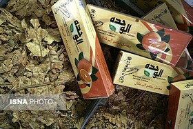 کشف بیش از ۳۰۰۰ بسته تنباکوی قاچاق در آب‌های بندرعباس
