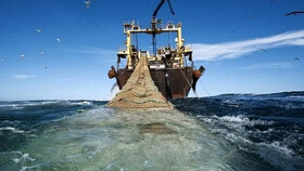 توقیف ۲ شناور غیرمجاز ترال در جاسک