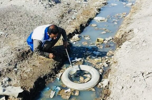 پس از بارندگیها؛ ضرورت کنترل زیست پشه ناقل تب دنگی