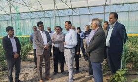 فرماندار رودان بر ساماندهی حریم رودخانه آب‌نما و حمایت از کشاورزان تأکید کرد