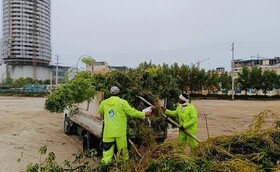 طوفان و بارندگی‌ها بیش از ۳۶ میلیارد ریال به فضای سبز قشم خسارت زد