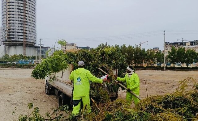 طوفان و بارندگی‌ها بیش از ۳۶ میلیارد ریال به فضای سبز قشم خسارت زد