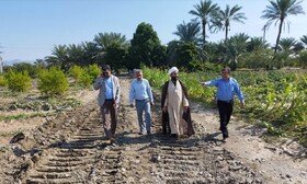 فرماندار رودان: خطر سیلاب در رودخانه آب‌نما جدی و فوری است