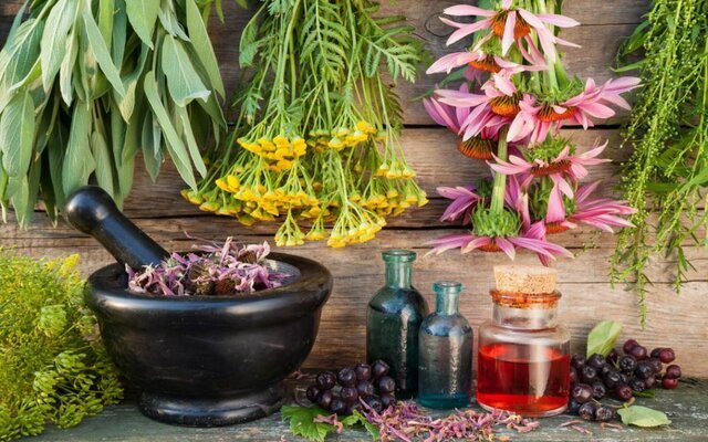 عکس تزئینی است اجرای پایلوت کشت گیاه دارویی مرزنجوش در بندرعباس