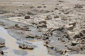امدادرسانی هلال‌ احمر به ۳۵۷ خانوار محصور در سیلاب بشاگرد