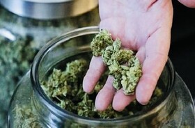 کشف ۴۷ کیلوگرم مواد مخدر «گراس» در بندرعباس