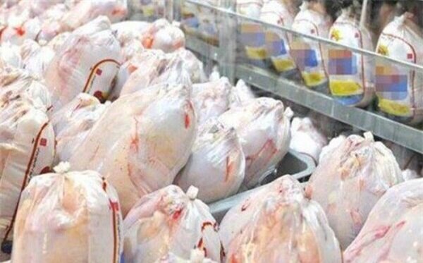 تولید بیش از ۹۰ تن گوشت مرغ در زابل