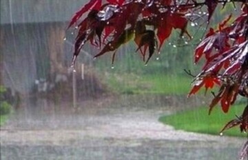 مدیرکل مدیریت بحران: بارندگی‌های اخیر در هرمزگان تلفات جانی نداشت