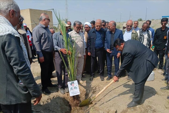 پویش ملی درختکاری «سرو ایران» در تیرور میناب آغاز شد